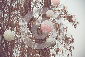 Circle Lamp under tree