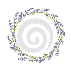 Circle of lavender flowers