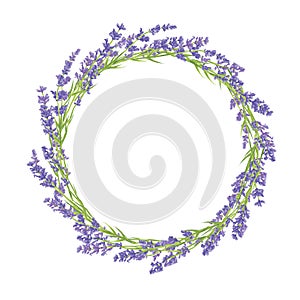 Circle of lavender flowers