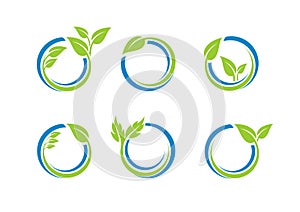 Círculo hojas designación de la organización o institución planta Agua esfera un conjunto compuesto por alrededor icono diseno 