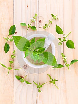 The circle of lemon basil( hairy basil ) leaf and flower on woo