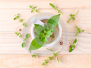 The circle of lemon basil leaf and flower