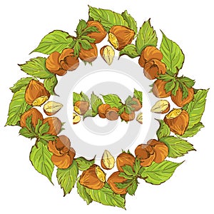 Circle ornament with highly detailed hand drawn hazelnuts