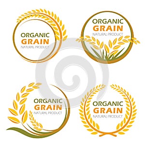 Circle paddy rice organic grain products and healthy food vector design