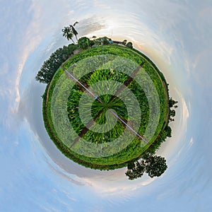 Circle panorama of galingale field