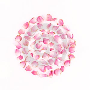 Circle of pink rose petals isolated on white background. Minimal valentines flat lay.