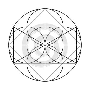 Circle rectangle graph. Scared Geometry Vector Design Elements.