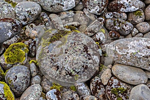 A circle of rocks covered with colored mosses.