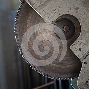 Circle saw