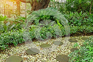 Circle shape of pattern walkway stepping sand stone on white gravel in a backyard garden of lush greenery plant, shurb and trees