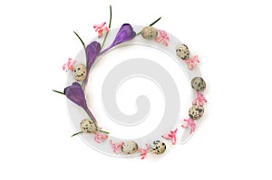 Circle spring frame of pink flowers hyacinth, violet crocuses and quail eggs on white background with space for text. Top view,