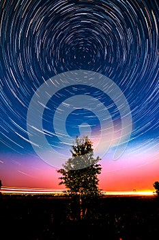 Circle star trails in the night sky above the lonely tree