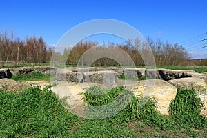 A circle of stones in Jeskyns park