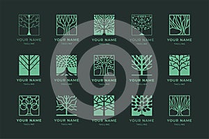 Circle tree of life emblem. Grow plant, circular tree with roots and leaves. Holistic verdant vitality branding label