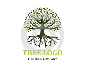 Circle tree logo isolated on a white background. Classic design. Green and brown colors. Lettering. Space for text. Leaves and