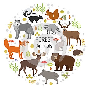 Circle vector set of plants and forest animals.