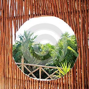 Circle window in tropical Jungle