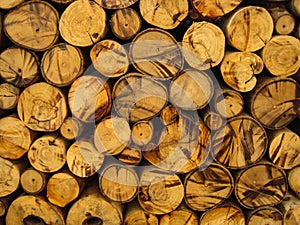 Circle wooden lumbers as natural pattern