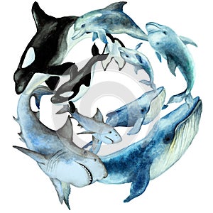 Circle wreath of swimming dolphins, shark, blue whale, killer whale orca with cubs on a white background, watercolor