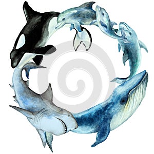 Circle wreath of swimming dolphins, shark, blue whale, killer whale orca on a white background, watercolor