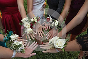 A circle of wrist corsages before a school prom dance.