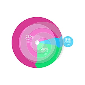 Circled Colorful Infographic Vector Illustration