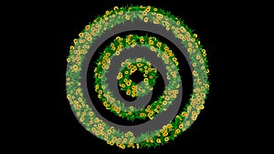 Circles pattern with yellow daisy flowers and green leaves on plain black background