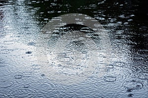Circles from rain on water