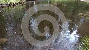 Circles from the rain on the water.