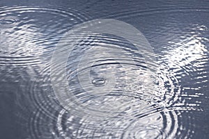 Circles from rain on water