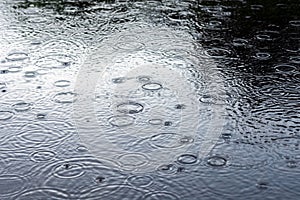 Circles from rain on water