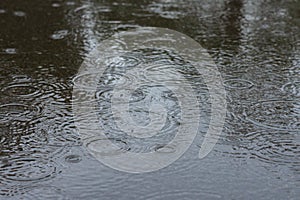 Circles from rain on water