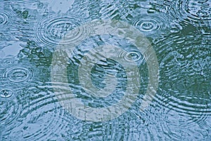 circles in a water surface caused by the rain