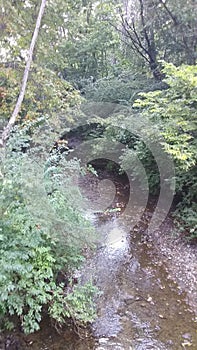 Circleville oh nature