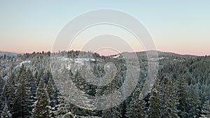 Circling Around Snowy Trees in a Forest with Cascade Mountains in the Background