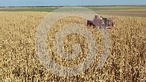 Circling dolly move in aerial view of combine, harvester machine harvest ripe maize