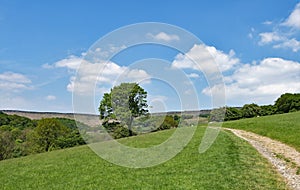 The circuitous pathway, leading to Stannage Edge, in idylic Haversage, Derbyshire.