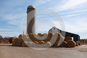 Circular Bales of Hay