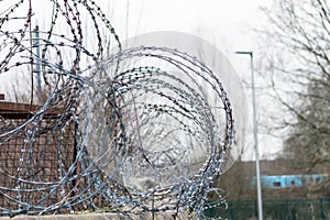 Circular Barbed Wire