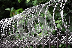 Circular barbed wire