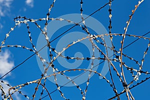 Circular barbed wire against blue sky, prison fence close up