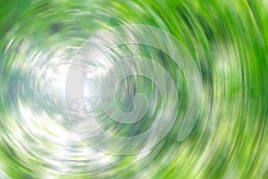 Circular blurring of the green background of tree leaves