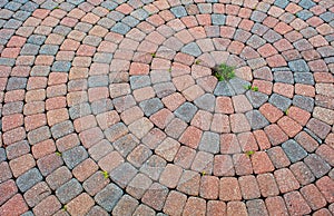 Circular Bricks Design