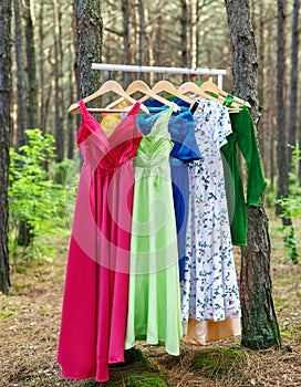 Circular economy. Offbeat image. Clothes hanger with dresses in the forest. Concept for organic clothes, eco-friendly, ecological