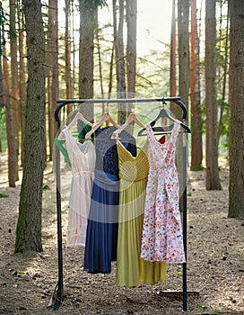 Circular economy. Offbeat image. Clothes hanger with dresses in the forest. Concept for organic clothes, eco-friendly, ecological