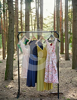 Circular economy. Offbeat image. Clothes hanger with dresses in the forest. Concept for organic clothes, eco-friendly, ecological photo