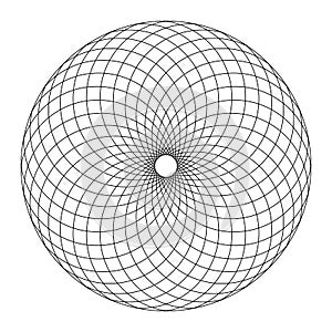 Circular Fibonacci pattern, the structure of a pine cone