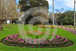 Circular flowerbeds in a park, Auckland, New Zealand