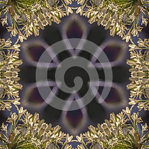 Circular glowing star shape iwth white flowers relfected around it in abstract copy space design