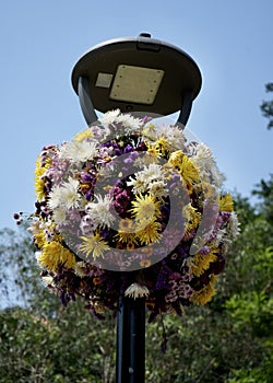 Circular Hanging Basket of multi-colored flowers underneath a streetlamp.